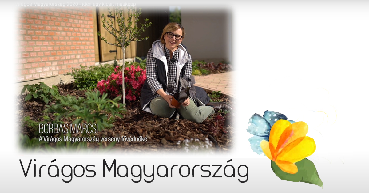 Virágos balkonok, virágos kertek – Virágos Magyarország verseny a lakosság részére
