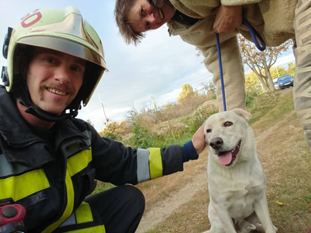 Kútba esett kutyát mentettek Erdőkertesen